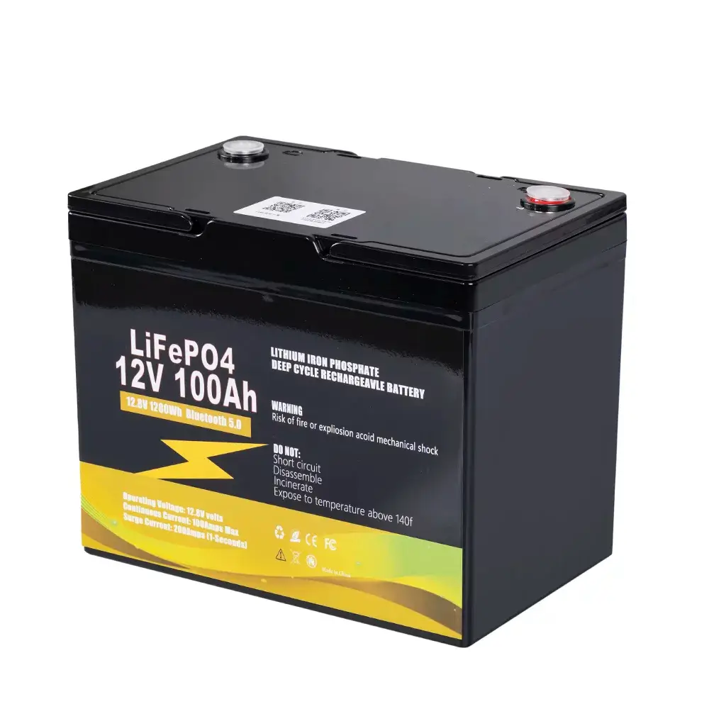 12V 100Ah Lithium Iron Phosphate (LiFePO4) battery