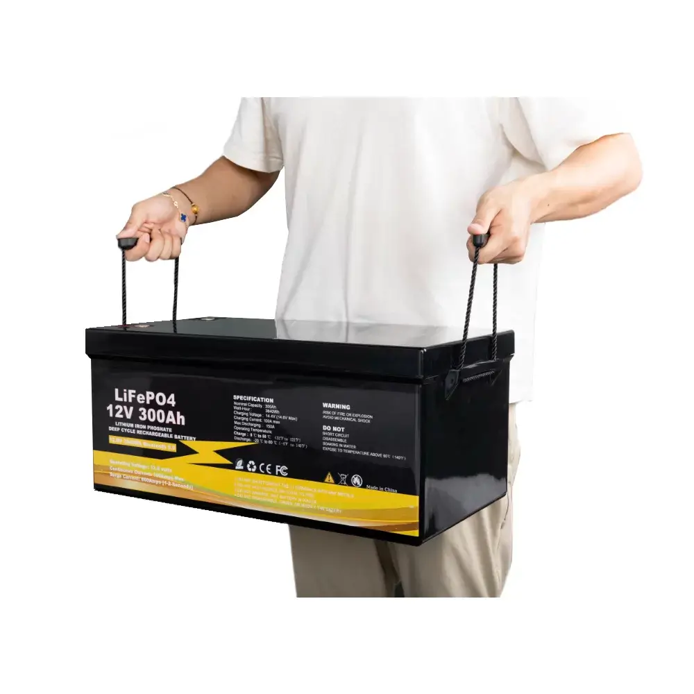 12V 300AH LIFEPO4 BATTERY DEEP CYCLE LITHIUM BATTERY WITH BUILT-IN BMS