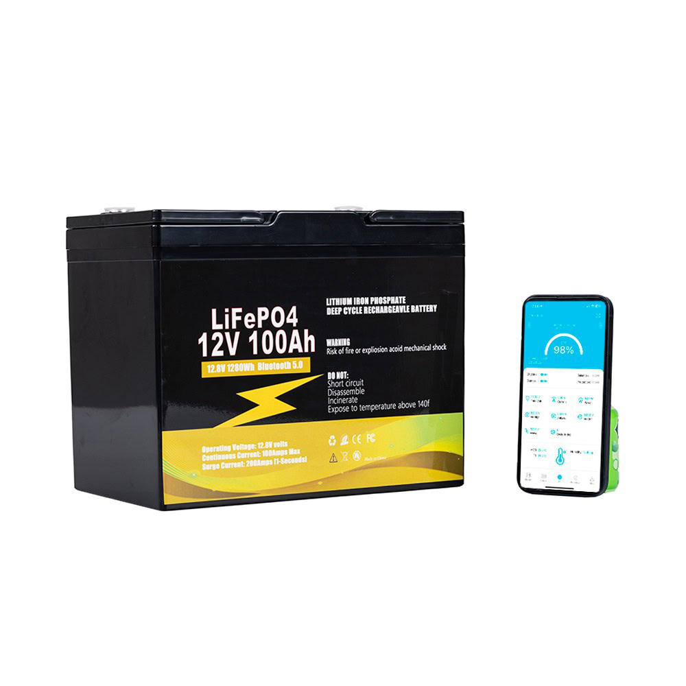 Lithium Iron Phosphate Rechargeable 12V 100Ah LiFePO4 Battery