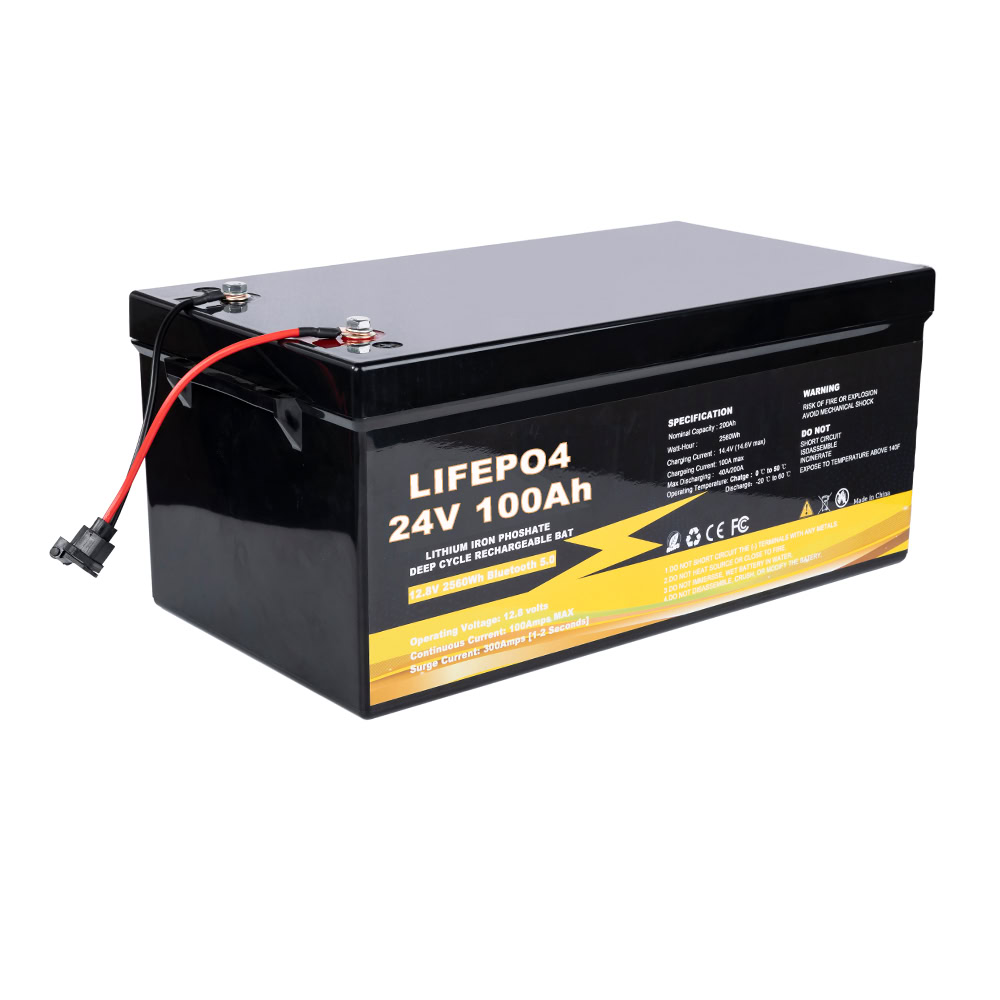 LiFePO4 24V 100Ah Lithium Iron Phosphate Battery – Bild 2